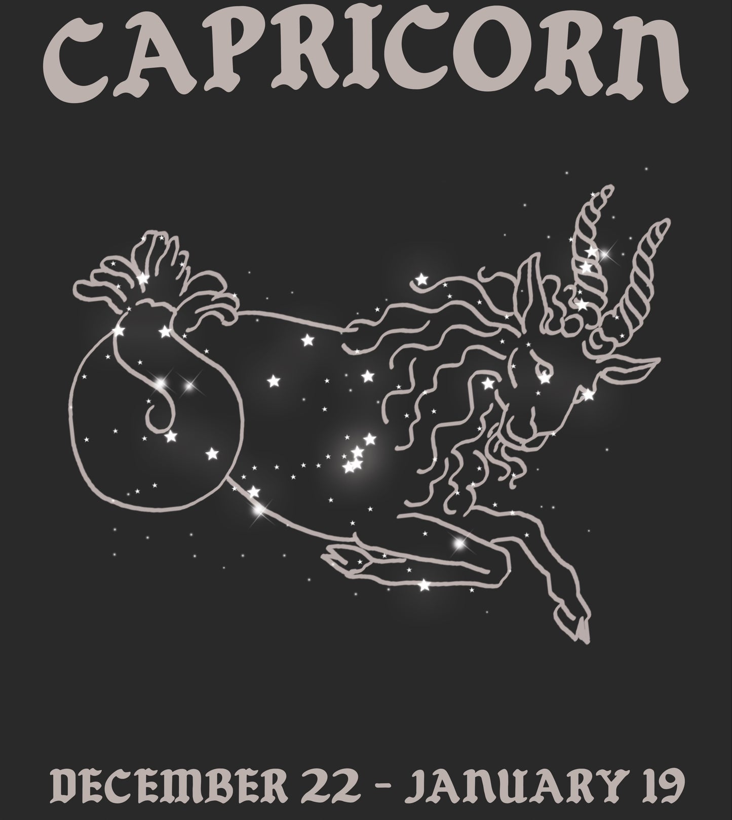 Zodiac Capricorn ♑️