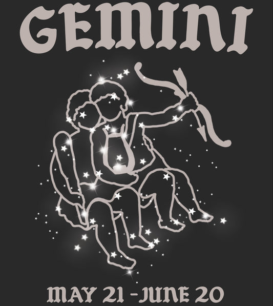 Zodiac Gemini ♊️